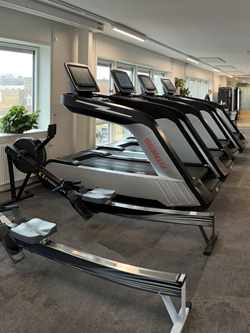 fitness